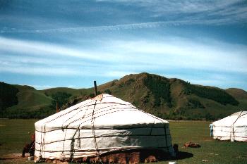 Mongolian Gers