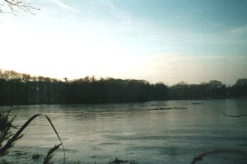 Kraenepoel covered with ice